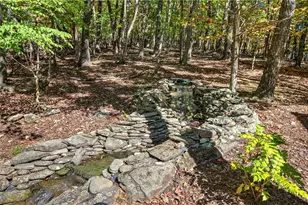 93 Thunder Ridge, Jasper, GA 30143 - Photo 61