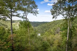 250 Noah Cir, Ellijay, GA 30540 - Photo 63