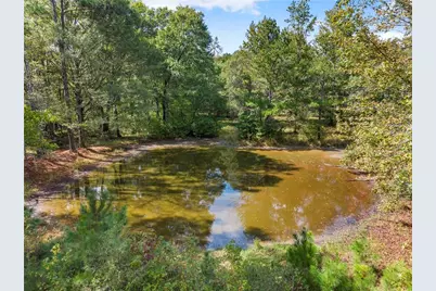 455 Cliff Nelson Road, Taylorsville, GA 30178 - Photo 39