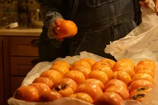 740 Little Rock Creek Rd, Cherrylog, GA 30522 - Photo 93