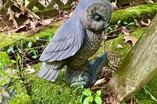 130 Happy Valley Ln, Morganton, GA 30560 - Photo 73