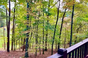 130 Happy Valley Ln, Morganton, GA 30560 - Photo 11