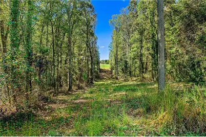 1736 Airline School Rd, Bowersville, GA 30516 - Photo 25