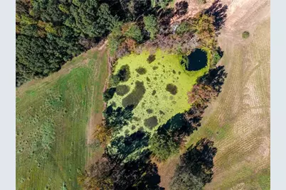 1736 Airline School Rd, Bowersville, GA 30516 - Photo 13