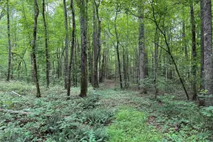 0 Brewster Field Rd, Cedartown, GA 30125 - Photo 1