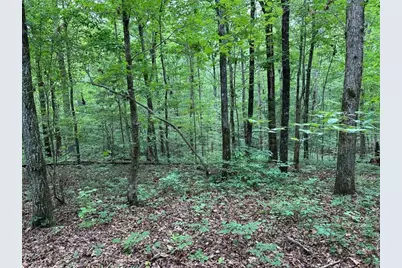 0 Brewsterfield Road, Cedartown, GA 30125 - Photo 23