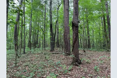 0 Brewsterfield Road, Cedartown, GA 30125 - Photo 17