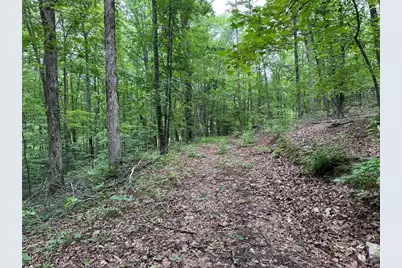 0 Brewsterfield Road, Cedartown, GA 30125 - Photo 3