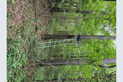 0 Brewsterfield Road, Cedartown, GA 30125 - Photo 5