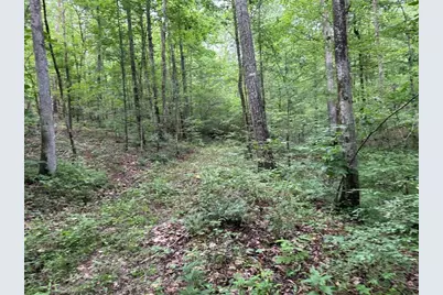 0 Brewsterfield Road, Cedartown, GA 30125 - Photo 19