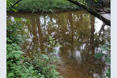 0 Brewsterfield Road, Cedartown, GA 30125 - Photo 15