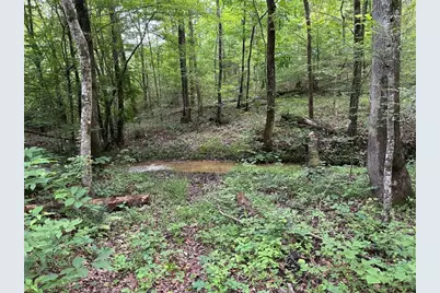 0 Brewsterfield Road, Cedartown, GA 30125 - Photo 21