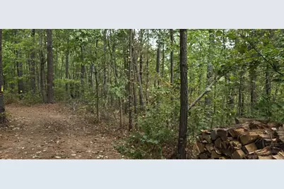 1251 Rambling Road, Fairmount, GA 30139 - Photo 21