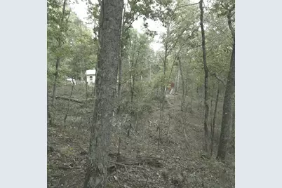 1251 Rambling Road, Fairmount, GA 30139 - Photo 11