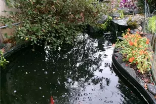 2735 Wendy Ln, Marietta, GA 30062 - Photo 5