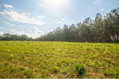 1145 Thurston Snow Road, Good Hope, GA 30641 - Photo 95