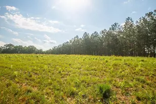 1145 Thurston Snow Rd, Good Hope, GA 30641 - Photo 95