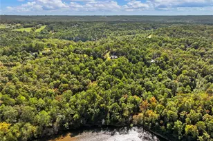 7657 Pea Ridge Rd, Lula, GA 30554 - Photo 73