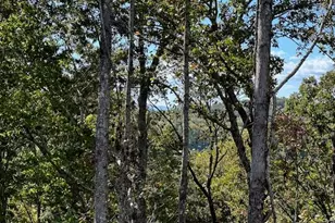 134 Rockhound Dr, Dahlonega, GA 30533 - Photo 67