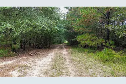 0 Willow Creek Drive, Oglethorpe, GA 31068 - Photo 3