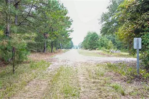 0 Willow Creek Dr, Oglethorpe, GA 31068 - Photo 5