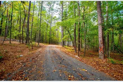 354 Turner Road, Newnan, GA 30263 - Photo 3