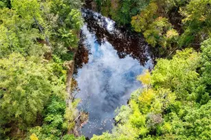 354 Turner Rd, Newnan, GA 30263 - Photo 39