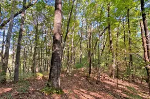 169 Dunns Rd, Dahlonega, GA 30533 - Photo 97