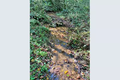 169 Dunns Road, Dahlonega, GA 30533 - Photo 93