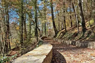 169 Dunns Rd, Dahlonega, GA 30533 - Photo 51