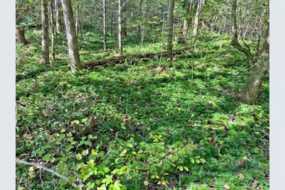 169 Dunns Road, Dahlonega, GA 30533 - Photo 95