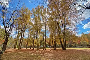 169 Dunns Rd, Dahlonega, GA 30533 - Photo 69