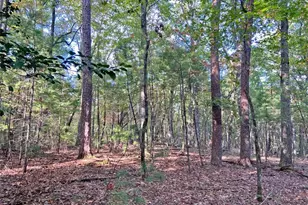 169 Dunns Rd, Dahlonega, GA 30533 - Photo 101