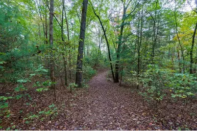 67 Ballard Lane, Ellijay, GA 30536 - Photo 51