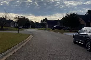 365 Oakpark Terrace, McDonough, GA 30253 - Photo 3