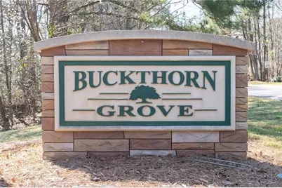 10 Buckthorne Drive, Newnan, GA 30265 - Photo 15