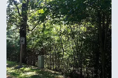 13A Greystone Road, Talking Rock, GA 30175 - Photo 1