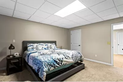 667 Cardinal Drive, Monticello, GA 31064 - Photo 47