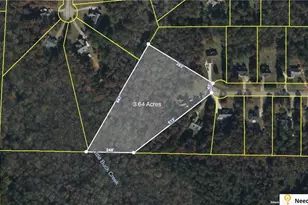 100 Liberty Bell Ln, Griffin, GA 30224 - Photo 55