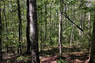 100 Liberty Bell Ln, Griffin, GA 30224 - Photo 63