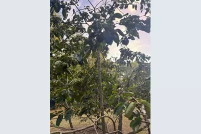 7315 Lee Road, Lithia Springs, GA 30122 - Photo 15