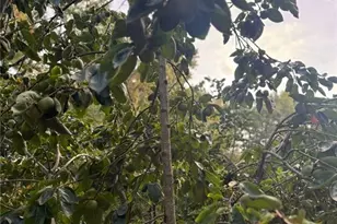 7315 Lee Rd, Lithia Springs, GA 30122 - Photo 15