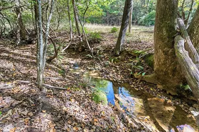 217 Goldmine Road, Morganton, GA 30560 - Photo 45