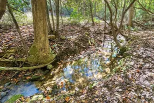 217 Goldmine Rd, Morganton, GA 30560 - Photo 43