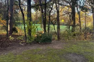 167 Marmalade Trl, Dawsonville, GA 30534 - Photo 41