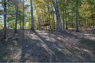 199 Grizzle Road, Dawsonville, GA 30534 - Photo 45