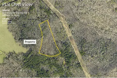 0 Curry Farms Road, Jefferson, GA 30549 - Photo 3