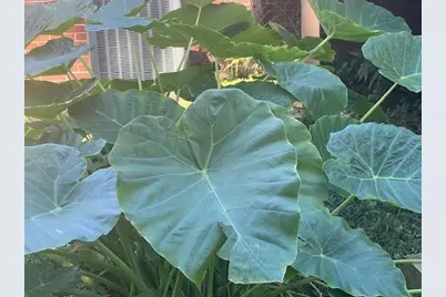 54 Church Road, Smyrna, GA 30082 - Photo 55