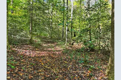 0 Tanglewood Lane, Ellijay, GA 30540 - Photo 5