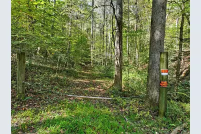 0 Tanglewood Lane, Ellijay, GA 30540 - Photo 3